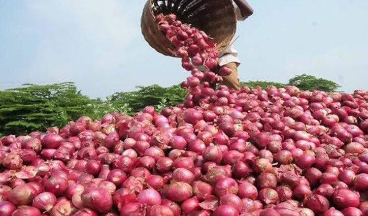 Demand for onion 24 lakh metric tonnes per year