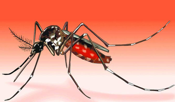 Woman dies of dengue