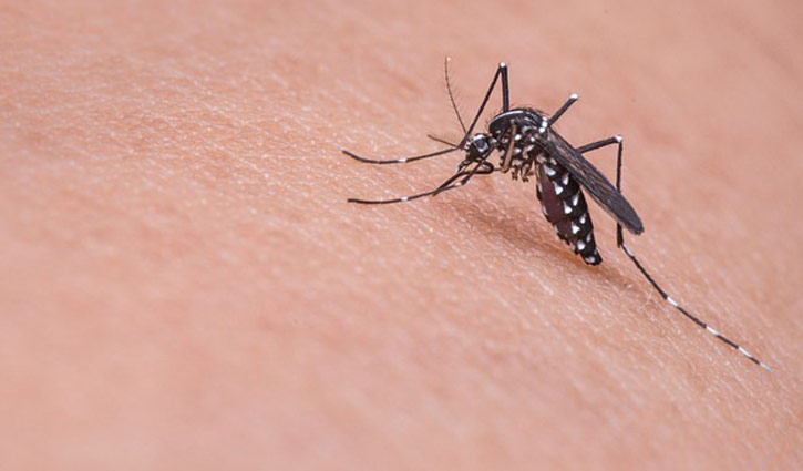 Two more die of dengue in Khulna