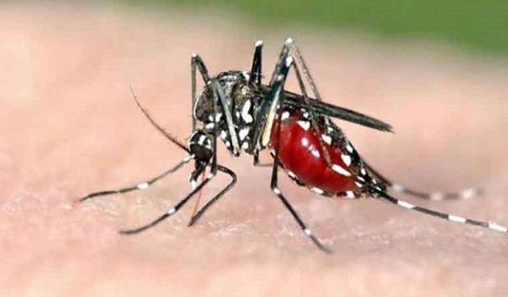 Youth dies of dengue