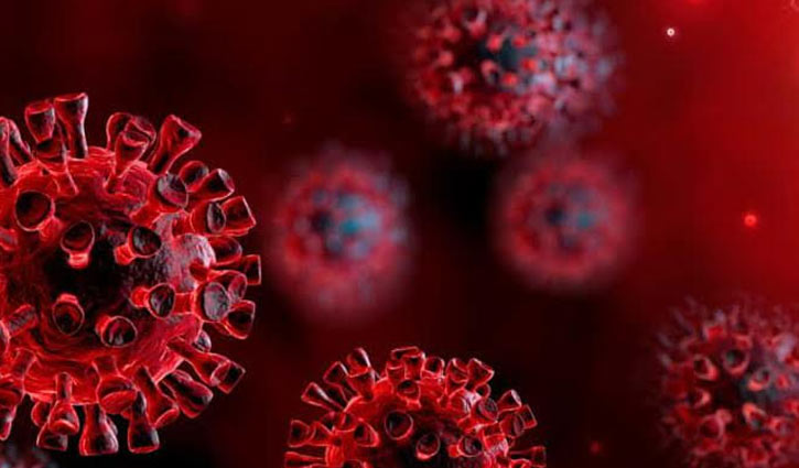 Thakurgaon reports 25 new coronavirus cases