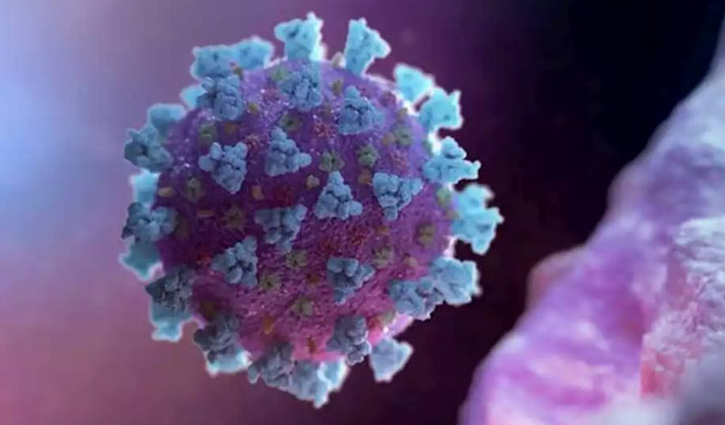 Laxmipur reports 13 new coronavirus cases