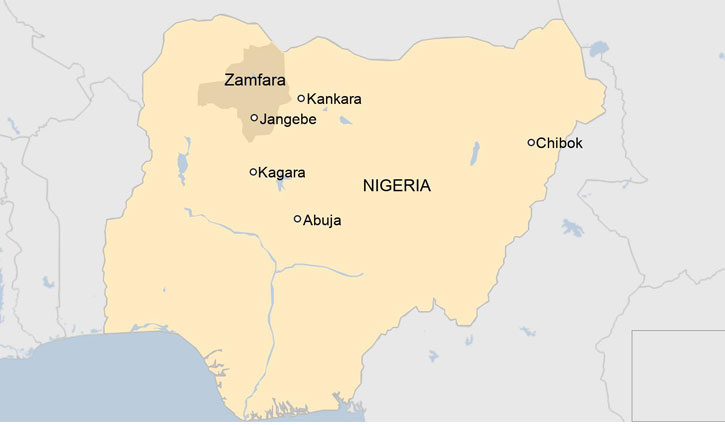 Over 300 schoolgirls go missing in Nigeria