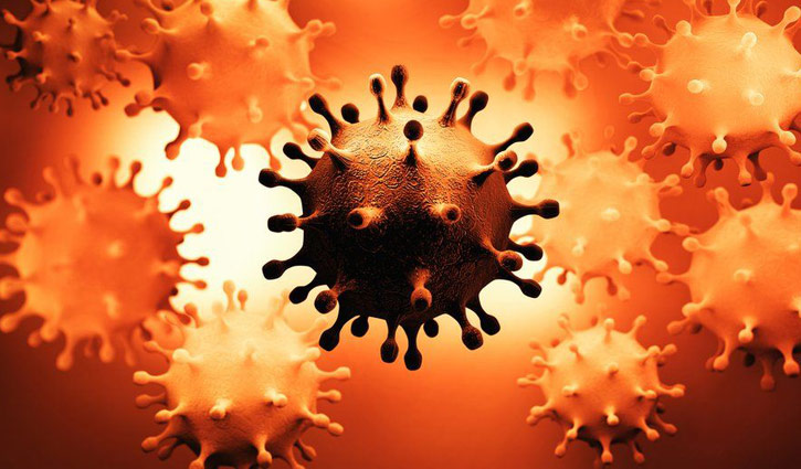 Another variant of coronavirus identified in Brazil