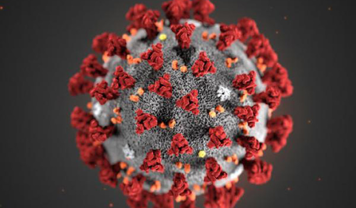 Coronavirus originates from Bangladesh, claim Chinese researchers