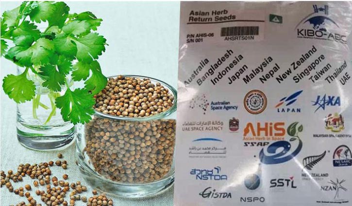 Bangladeshi coriander seeds going to space Dec 2