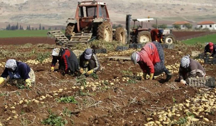 Israel blocks Palestinian agricultural exports