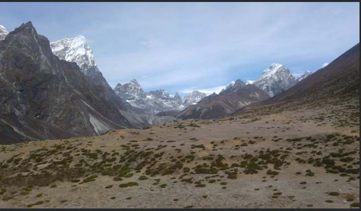 Plant life ‘expanding over the Himalayas’