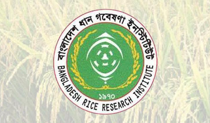 Rice research institute deprived of pension scheme