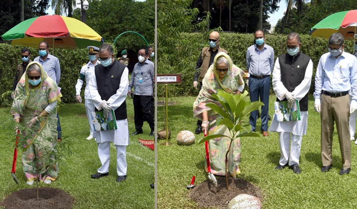 If you plant trees, you will feel good: PM