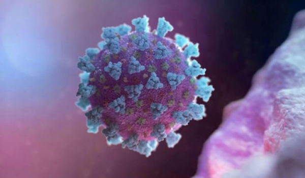 34 die of coronavirus, 2766 new cases detected in last 24 hrs