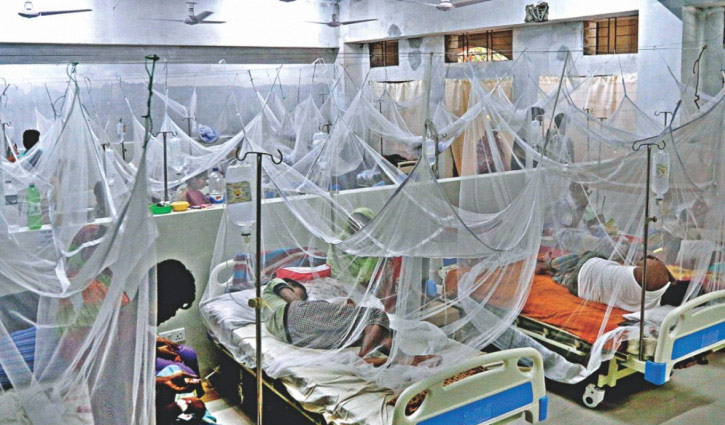 Over 100 dengue patients hospitalized in 24 hours