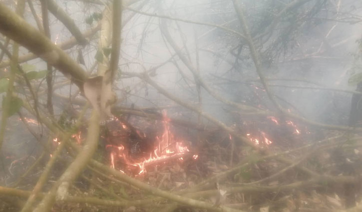 Sundarbans fire yet to be doused in 24 hours