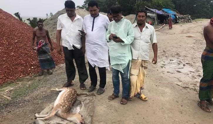 Sundarbans damaged by Yaas, 4 deer found dead