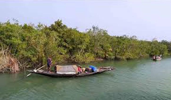 326 Sundarbans pirates to get houses, cattle
