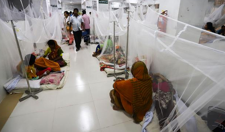 92 dengue patients hospitalized in 24 hours