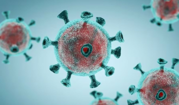 New coronavirus variant JN.1 is spreading fast