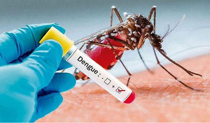 Dengue death toll surpasses 900