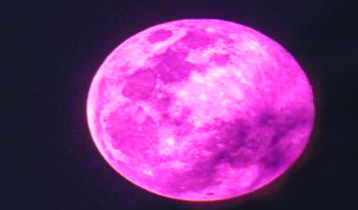 গোলাপি চাঁদ দেখা যাবে বিজ্ঞান ও প্রযুক্তি জাদুঘর থেকে গোলাপি চাঁদ দেখা যাবে বিজ্ঞান ও প্রযুক্তি জাদুঘর থেকে