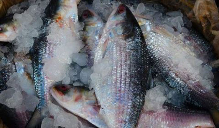 The cry for hilsa in West Bengal