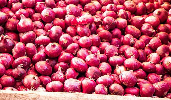 Govt to import onion from India in March