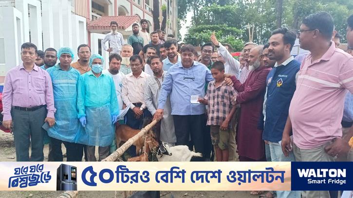 সুতিয়াখালিতে ফ্রি ভেটেরিনারি মেডিক্যাল ক্যাম্প ও চারা বিতরণ