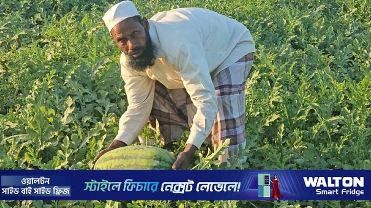আগাম তরমুজে চাঁন মিয়ার এক একরে লাভ হবে পৌনে ৩ লাখ টাকা