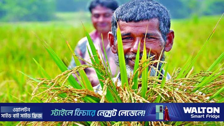 কৃষি ঋণ বিতরণ বেড়েছে ২৭ শতাংশ