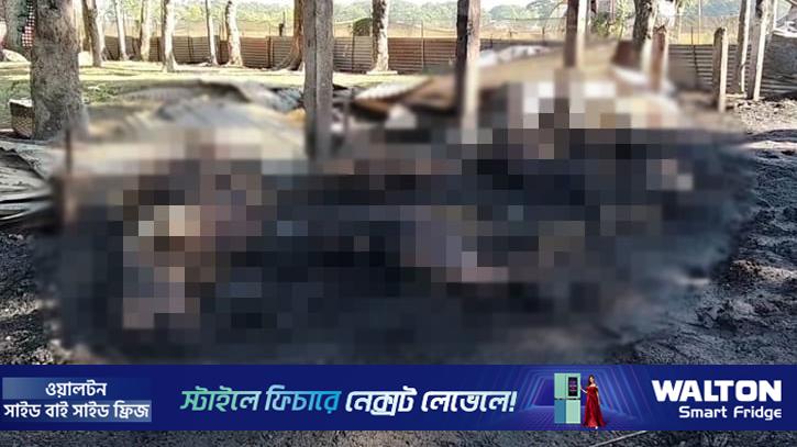 নেত্রকোণায় আগুনে পুড়ে মরল ২৯ ছাগল