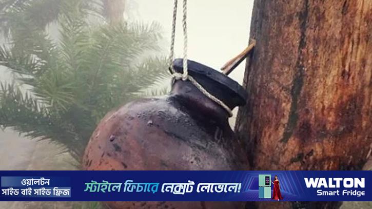 খেজুরের রসের স্বাস্থ্য  উপকারিতা