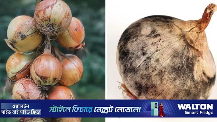 খোসায় কালো দাগযুক্ত পেঁয়াজ কী খাওয়া যাবে?