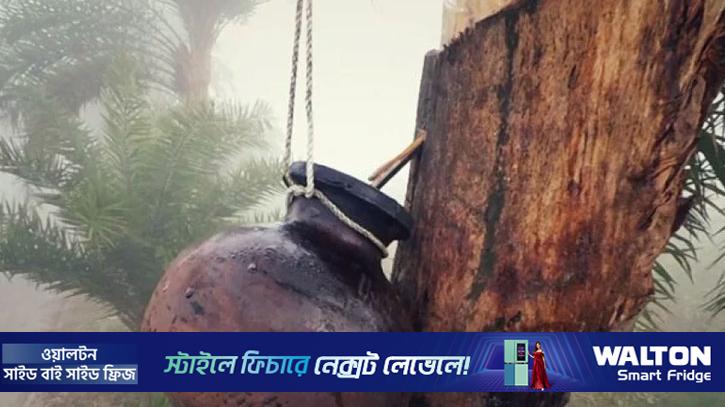 খেজুরের কাঁচা রস পানে মাদ্রাসা শিক্ষার্থীর মৃত্যুর অভিযোগ