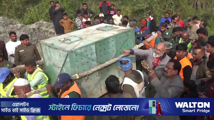 সুন্দরবনে হরিণ শিকারের ফাঁদে পড়া বাঘিনীকে উদ্ধার, নাজুক অবস্থা