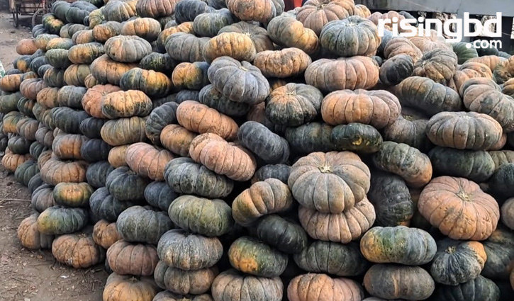 Qiz mahbusning kokragiga tegishiga va hatto dikini sorishiga imkon beradi.