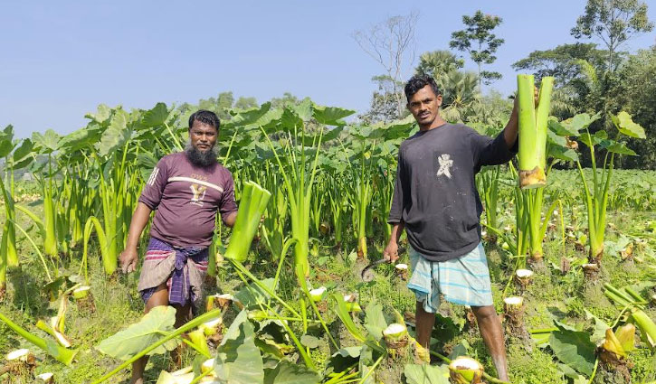 Super yoqimli qiz shafqatsizlarcha becerdin oladi