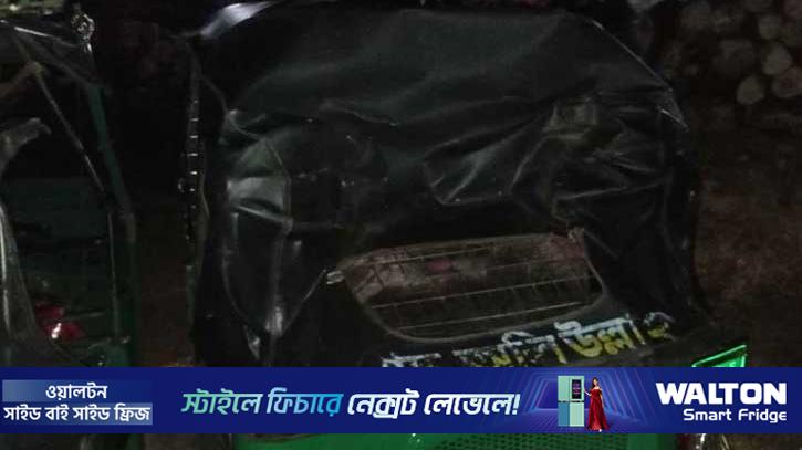 রাঙামাটিতে বন্যহাতির আক্রমণে বৃদ্ধা নিহত 