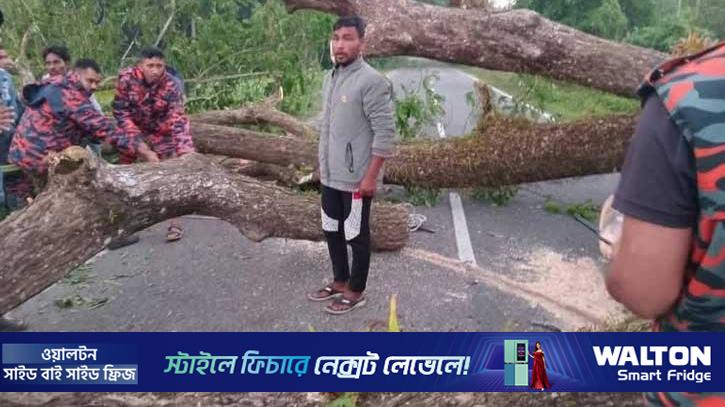 মৌলভীবাজারে সড়কে গাছ ফেলে ৩ ঘণ্টা অবরোধ 