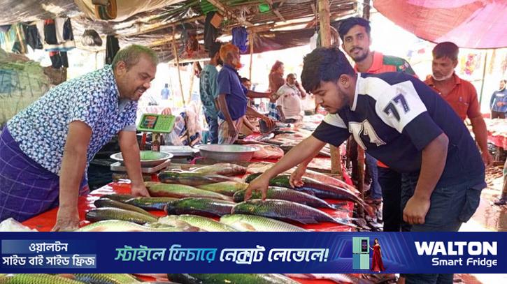 বগুড়ার হাটে-বাজারে নবান্নের মাছের মেলা