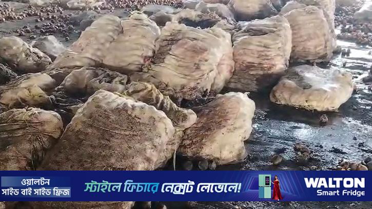 পেঁয়াজ নিয়ে চোখে শর্ষে ফুল ভারতীয় ব্যবসায়ীদের