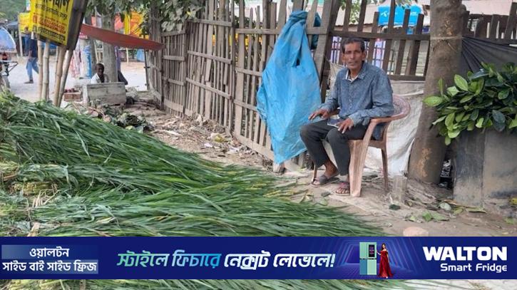 দুই যুগ বেতন নেই শিক্ষকের, ঘাস-পাতা বেচে চলছে সংসার