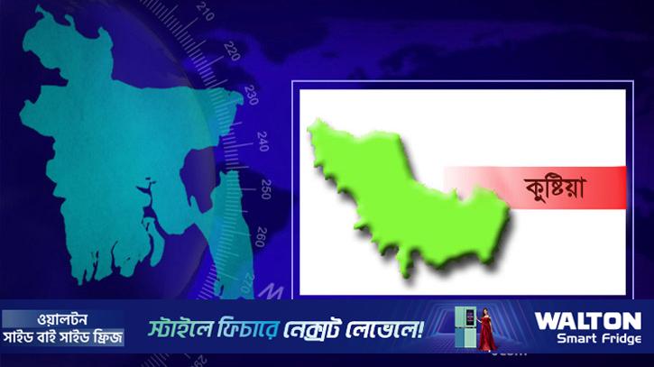 কুষ্টিয়ায় সন্ত্রাসীর গুলিতে কৃষক নিহত