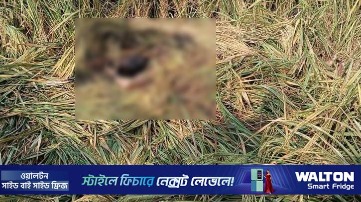 হত্যার পর মুখ পোড়া‌নো ব্যক্তির লাশ উদ্ধার