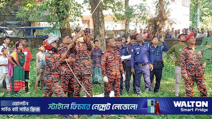 সুনামগঞ্জে গাছের মগডালে ঝুলছিল যুবকের মরদেহ