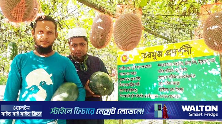 অসময়ের ব্ল্যাক বেবি তরমুজ চাষে চমক দেখালেন দুলাল