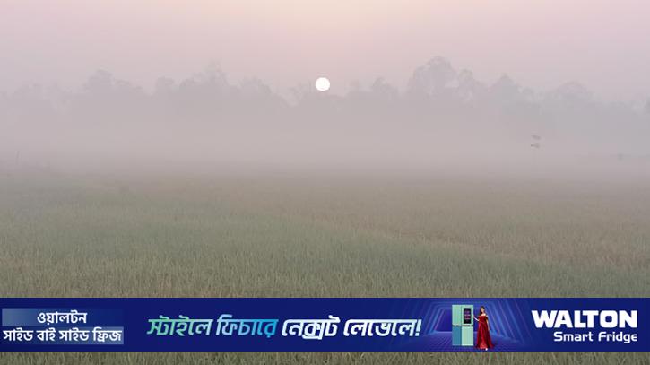 পঞ্চগড়ে তাপমাত্রা নেমেছে ১২ ডিগ্রিতে