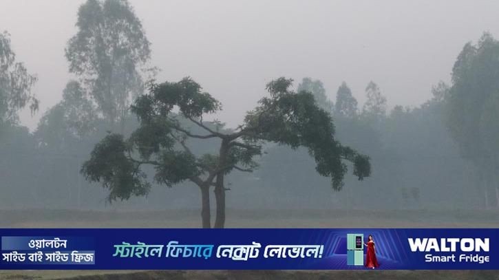 পটুয়াখালীতে শীতের দাপট