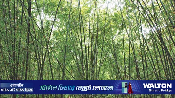 নিখোঁজের ৩ দিন পর কিশোরের ঝুলন্ত লাশ উদ্ধার