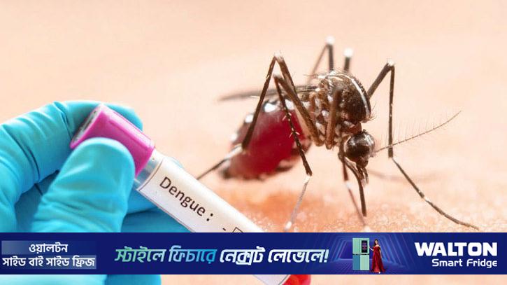 ডেঙ্গু: ২৪ ঘণ্টায় মৃত্যু ২, হাসপাতালে ভর্তি ৫৬৫