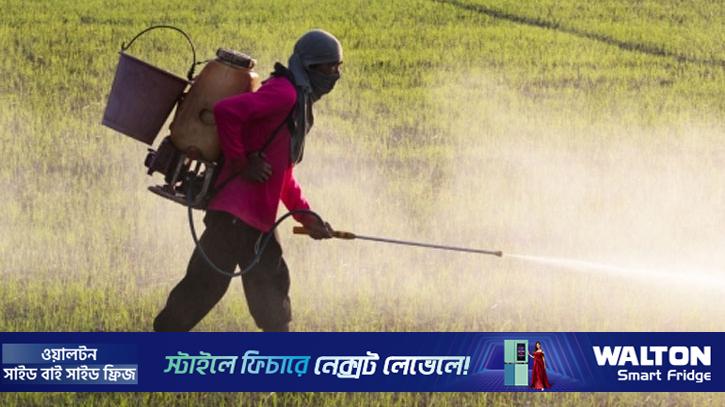 ‘জামায়াত ক্ষমতায় গেলে সার কীটনাশক ফ্রি দেওয়া হবে’