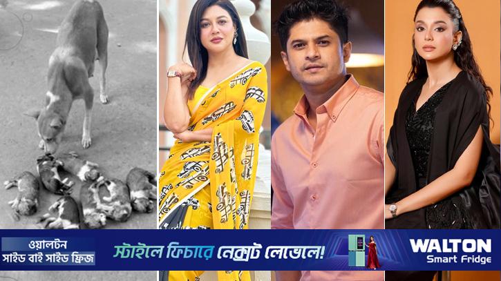 কুকুরছানা হত্যার ঘটনায় ক্ষুব্ধ তারকারা